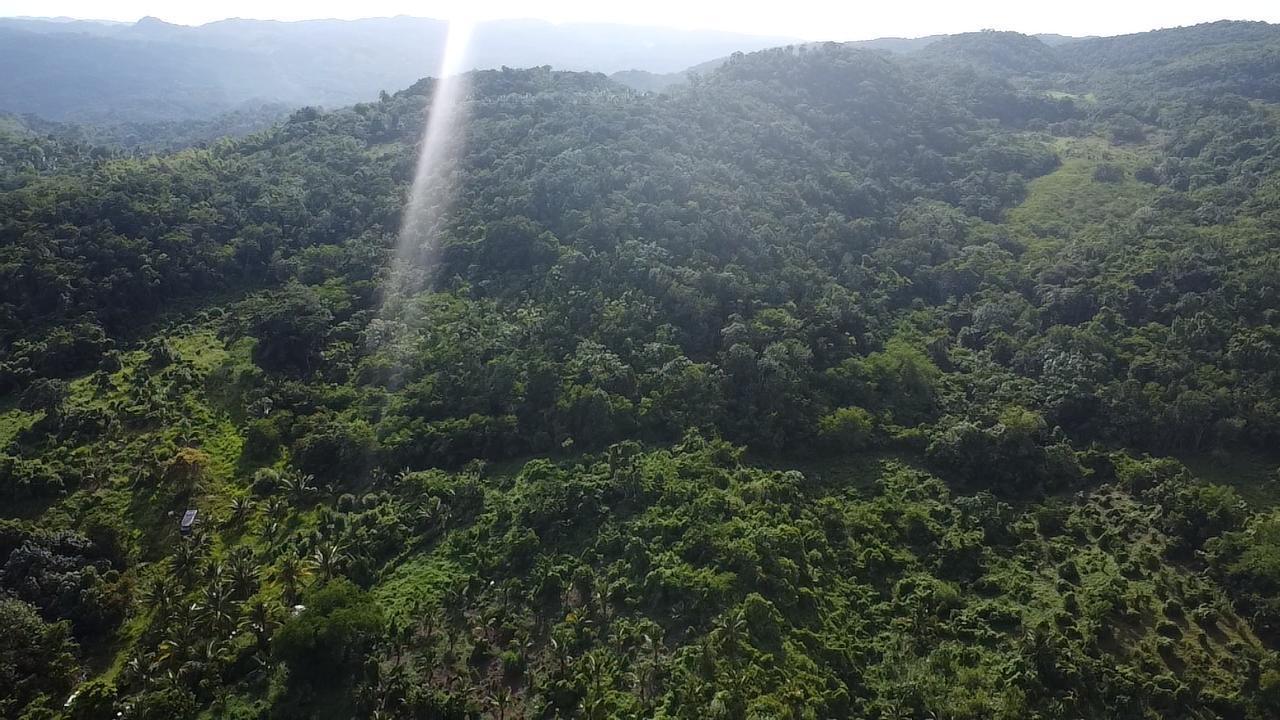 Fourth image of Lot-5 Childermas in Anchovy, St. James, Jamaica - property is For Sale