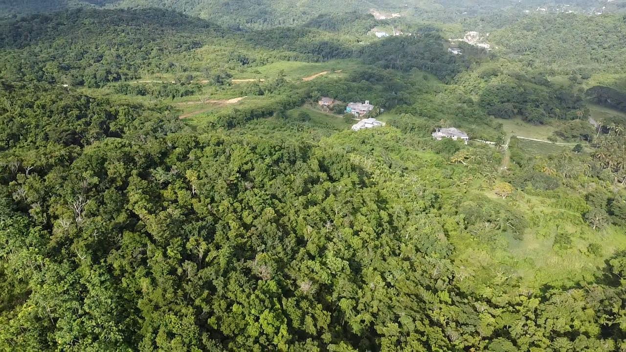 Fifth image of Lot-5 Childermas in Anchovy, St. James, Jamaica - property is For Sale