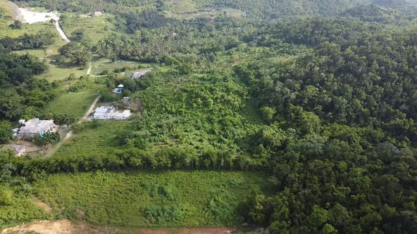 Sixth image of Lot-5 Childermas in Anchovy, St. James, Jamaica - property is For Sale
