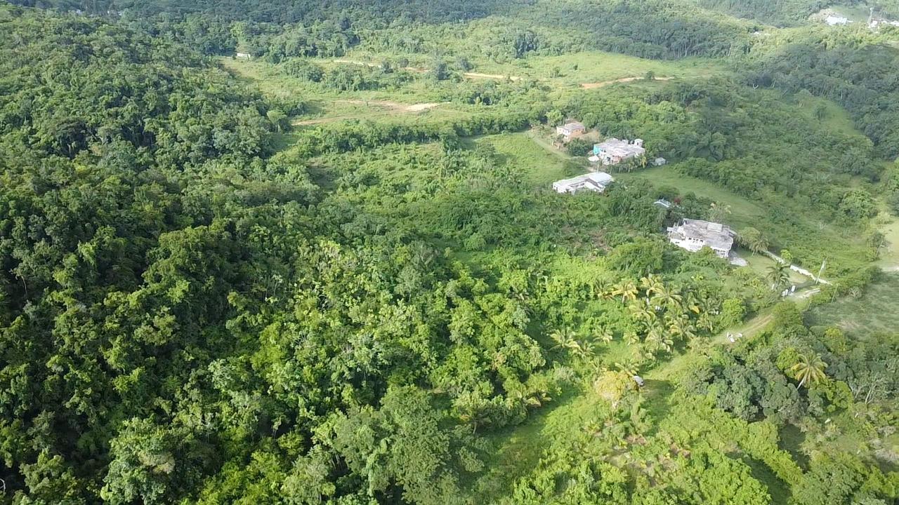 Eighth image of Lot-5 Childermas in Anchovy, St. James, Jamaica - property is For Sale