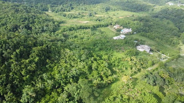 Eighth image of Lot-5 Childermas in Anchovy, St. James, Jamaica - property is For Sale