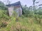 First image of 4 Friendship, Comfort Hall in Comfort Hall, Manchester, Jamaica - property is For Sale