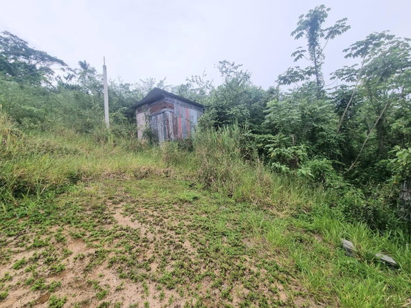Third image of 4 Friendship, Comfort Hall in Comfort Hall, Manchester, Jamaica - property is For Sale