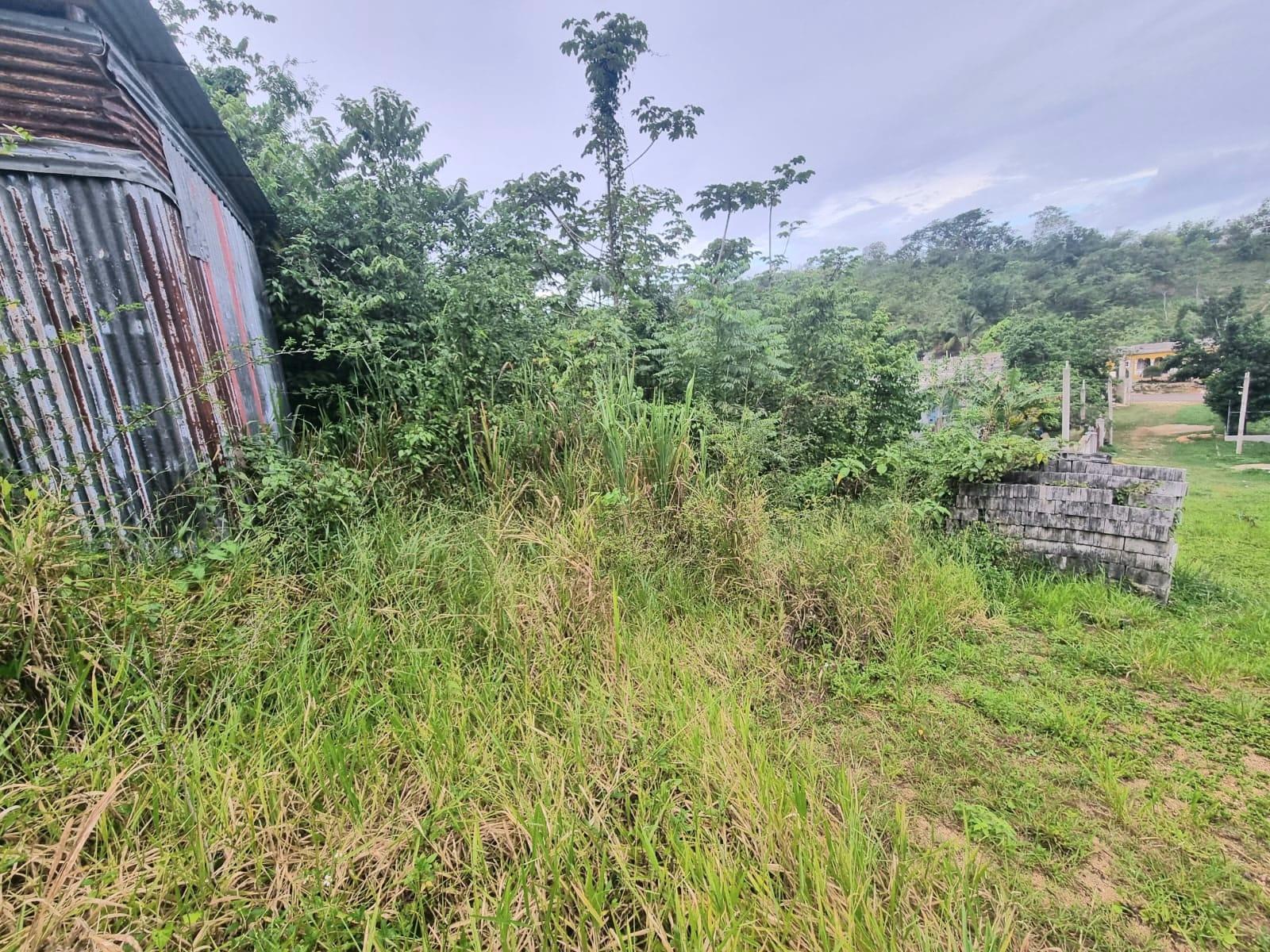 Fourth image of 4 Friendship, Comfort Hall in Comfort Hall, Manchester, Jamaica - property is For Sale