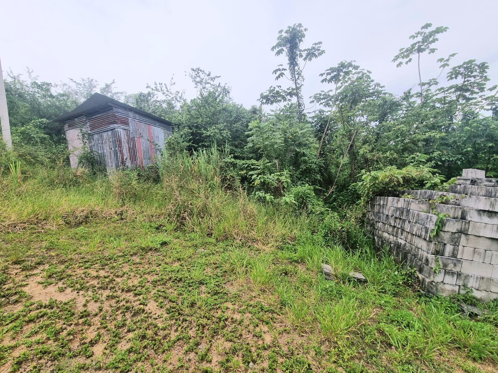 Fifth image of 4 Friendship, Comfort Hall in Comfort Hall, Manchester, Jamaica - property is For Sale