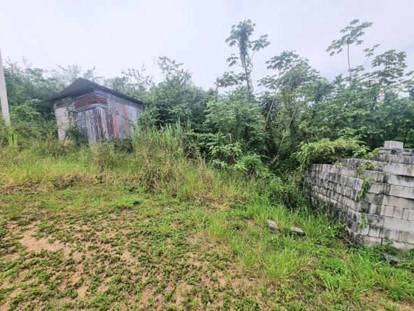 Fifth image of 4 Friendship, Comfort Hall in Comfort Hall, Manchester, Jamaica - property is For Sale