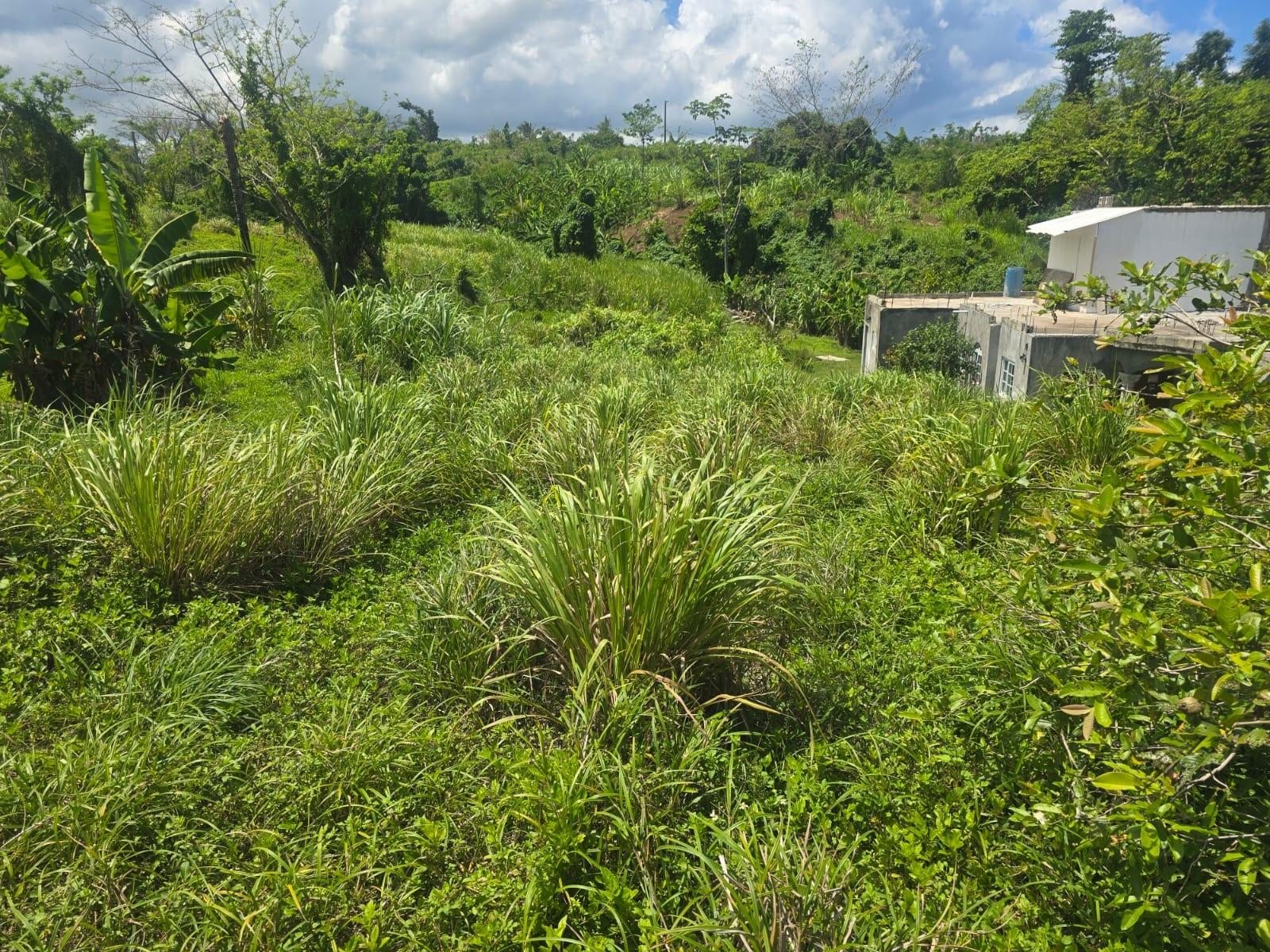 First image of 2 Cotton Close, Wincheste in Green Island, Hanover, Jamaica - property is For Sale