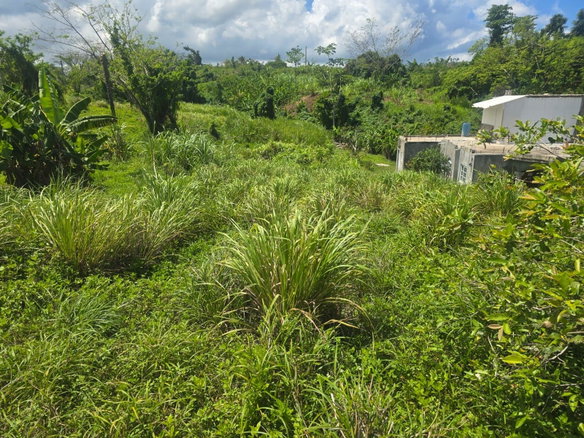 First image of 2 Cotton Close, Wincheste in Green Island, Hanover, Jamaica - property is For Sale