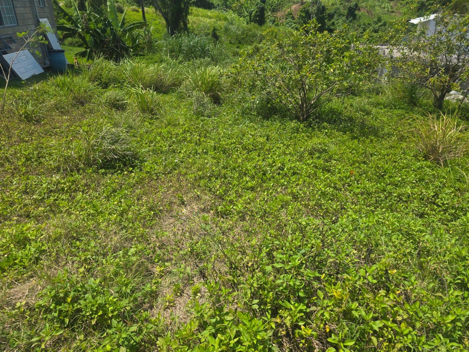 Second image of 2 Cotton Close, Wincheste in Green Island, Hanover, Jamaica - property is For Sale