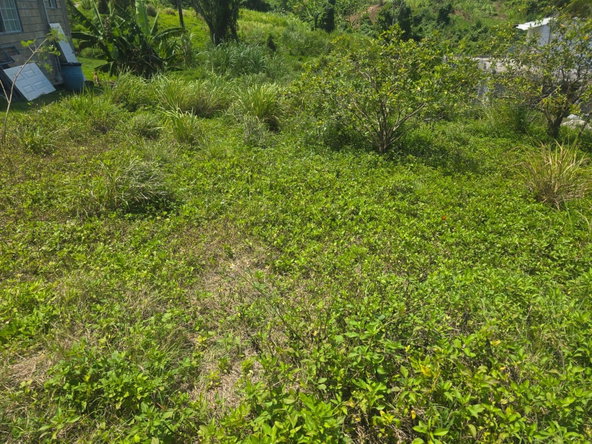 Second image of 2 Cotton Close, Wincheste in Green Island, Hanover, Jamaica - property is For Sale