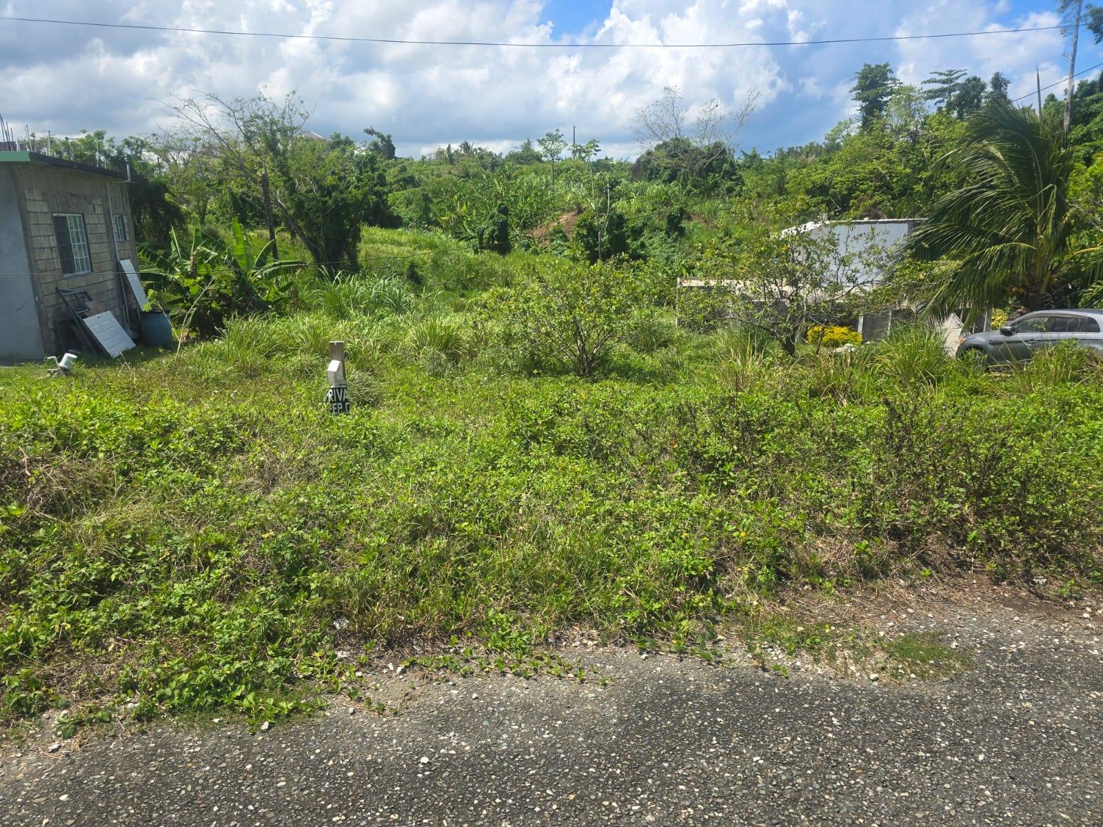 Fourth image of 2 Cotton Close, Wincheste in Green Island, Hanover, Jamaica - property is For Sale