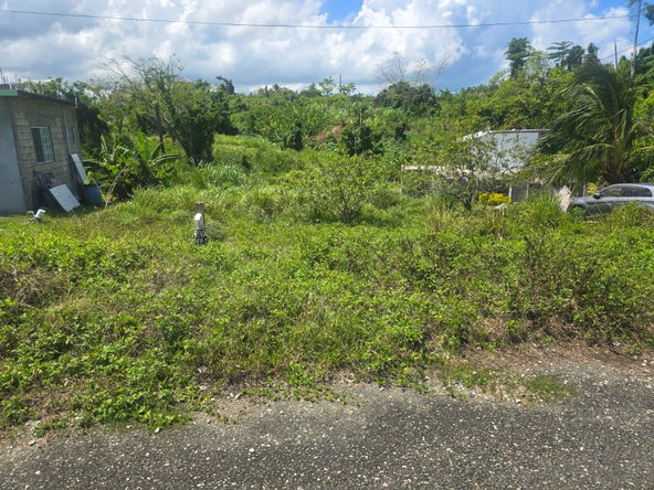 Fourth image of 2 Cotton Close, Wincheste in Green Island, Hanover, Jamaica - property is For Sale