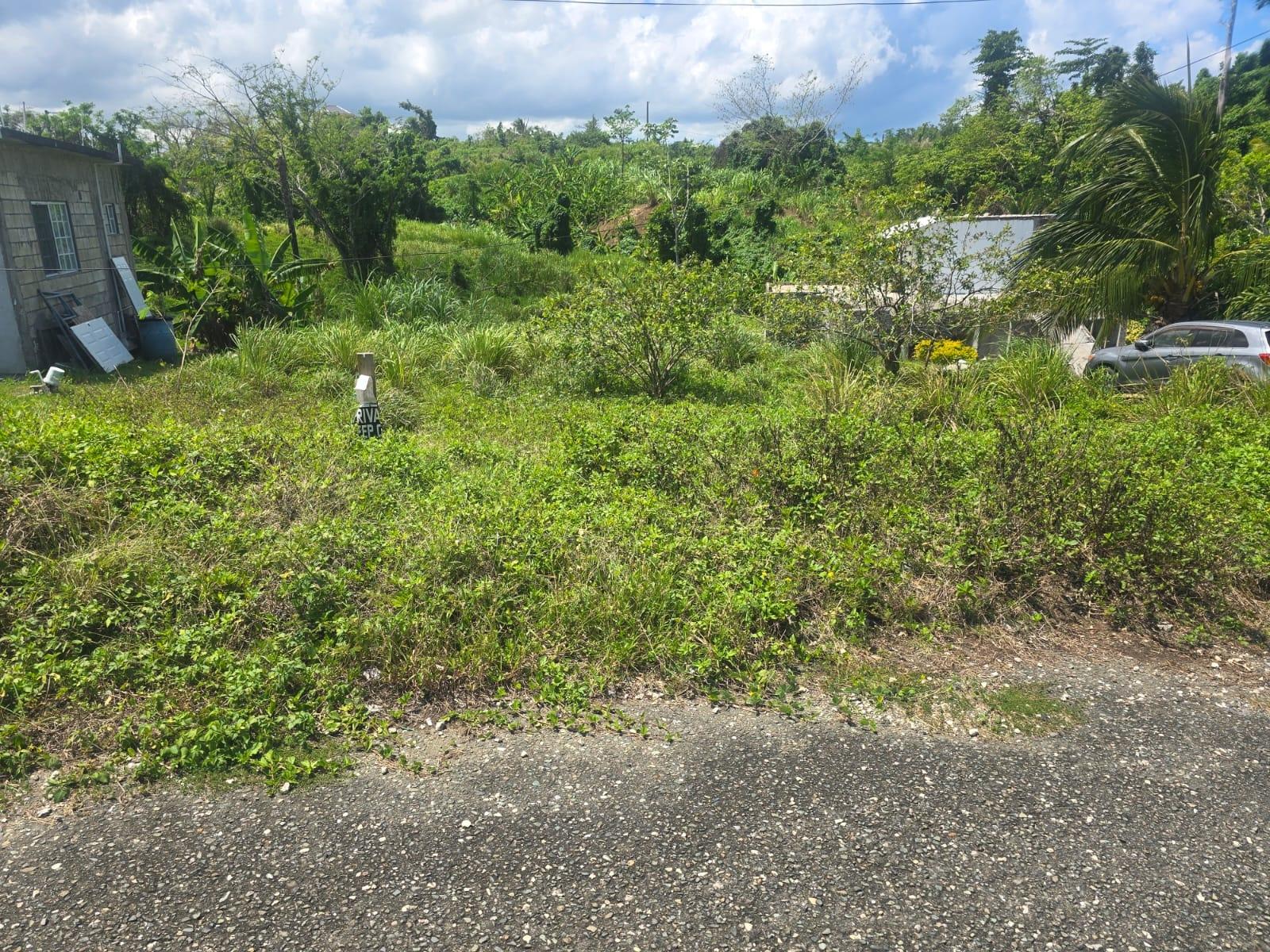 Fifth image of 2 Cotton Close, Wincheste in Green Island, Hanover, Jamaica - property is For Sale