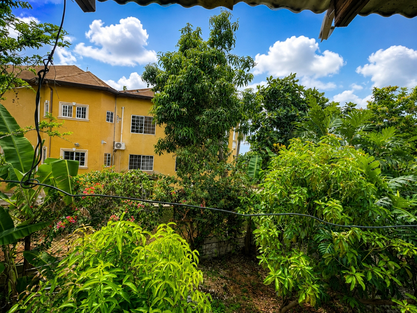 Sixth image of 1597 Whitehall Road, Negril in Whitehall, Westmoreland, Jamaica - property is For Sale