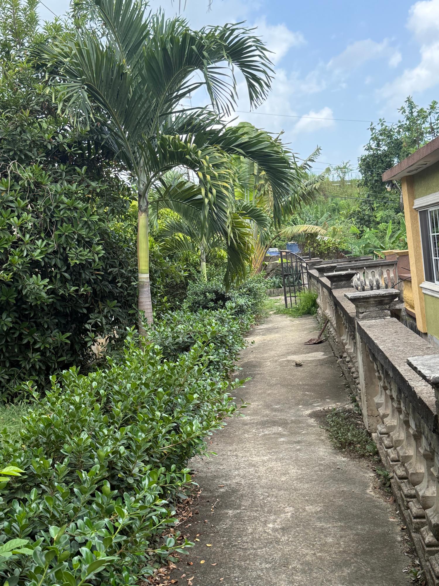 Eighteenth image of 19 Vanfair Gardens in Linstead, St. Catherine, Jamaica - property is For Sale