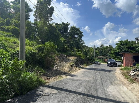 First image of Petersville, Westmoreland in Petersville, Westmoreland, Jamaica - property is For Sale
