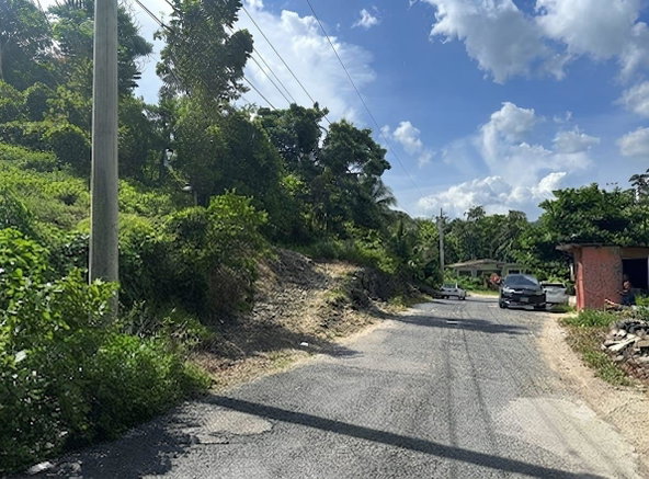 First image of Petersville, Westmoreland in Petersville, Westmoreland, Jamaica - property is For Sale