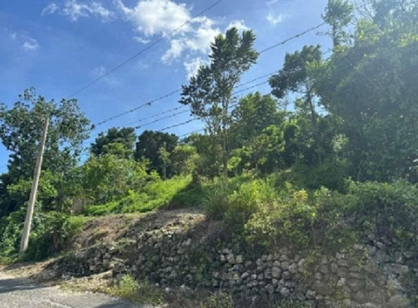 Fifth image of Petersville, Westmoreland in Petersville, Westmoreland, Jamaica - property is For Sale