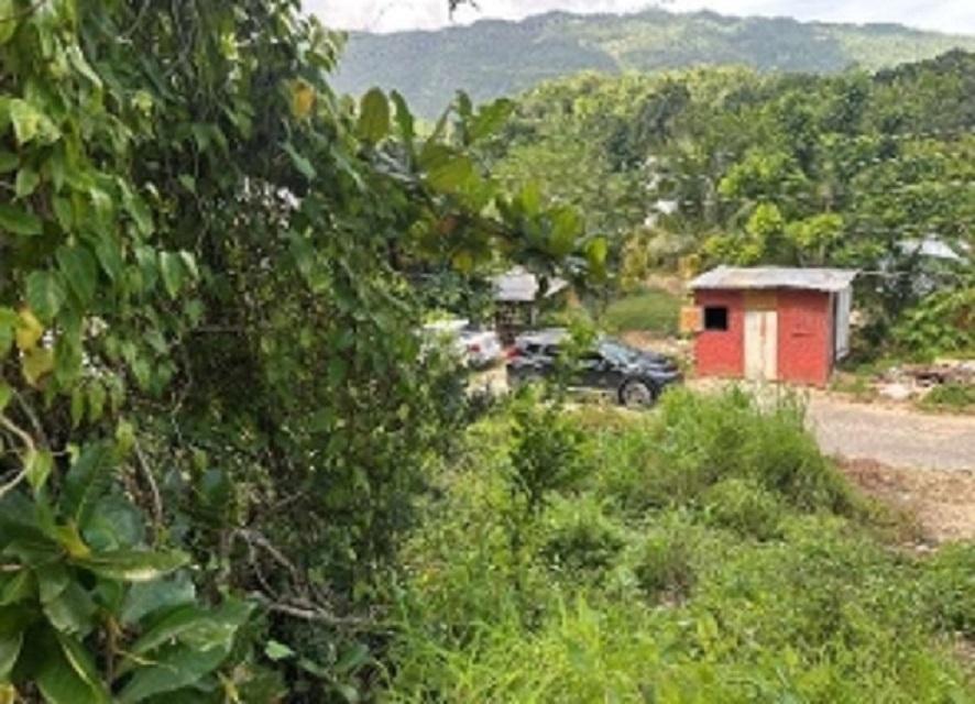 Seventh image of Petersville, Westmoreland in Petersville, Westmoreland, Jamaica - property is For Sale