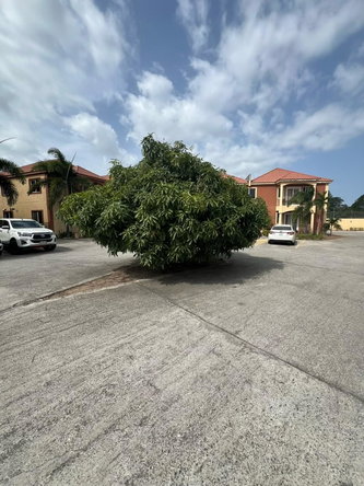 Twenty-Fourth image of 27- Cedar Grove Palm, Portmor in Cedar Grove Estate, St. Catherine, Jamaica - property is For Rent