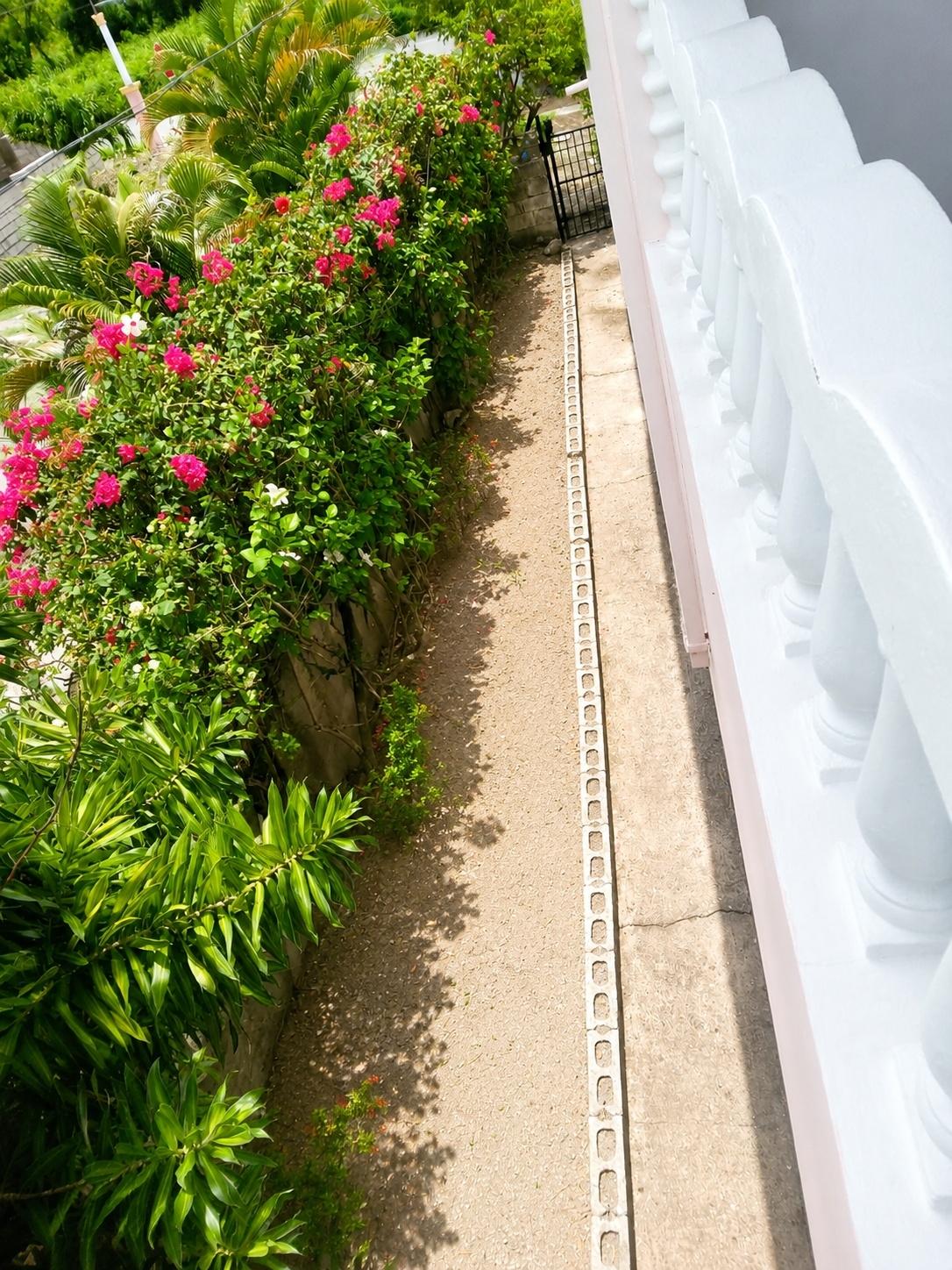 Twenty-Eighth image of Lot 9 Retreat Cove, Morant Bay in Lyssons, St. Thomas, Jamaica - property is For Sale