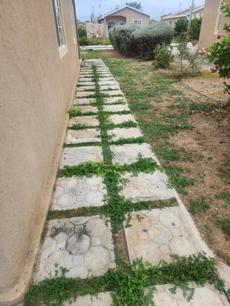 Second image of 776 Phoenix Park Phase 3 in Phoenix Park, St. Catherine, Jamaica - property is For Rent