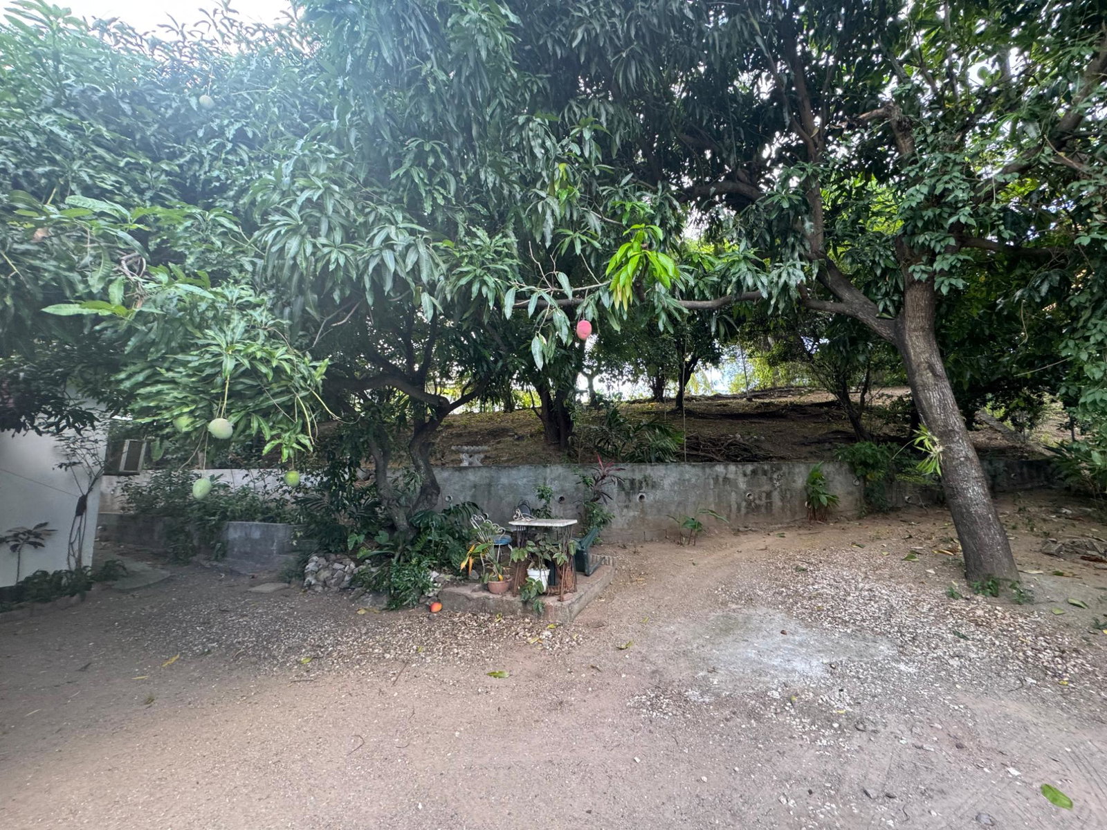Fifteenth image of 5 Kings House Ave. in Kingston 6, St. Andrew, Jamaica - property is For Sale