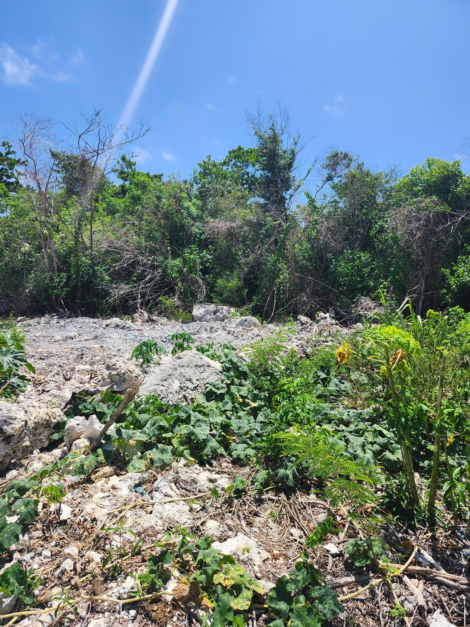 Tenth image of Rockmoor in Rockmore & Wilderness, St. Mary, Jamaica - property is For Sale