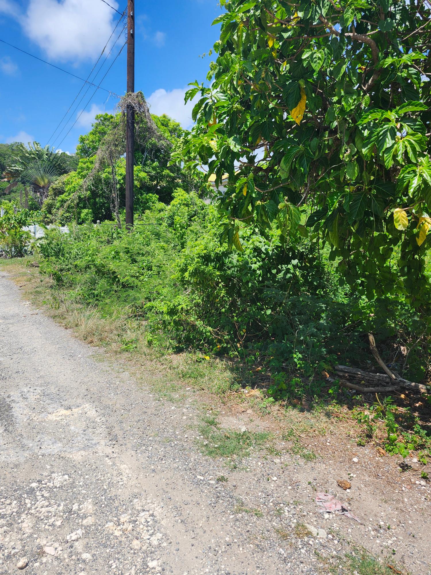 Sixth image of Rockmoor in Rockmore & Wilderness, St. Mary, Jamaica - property is For Sale