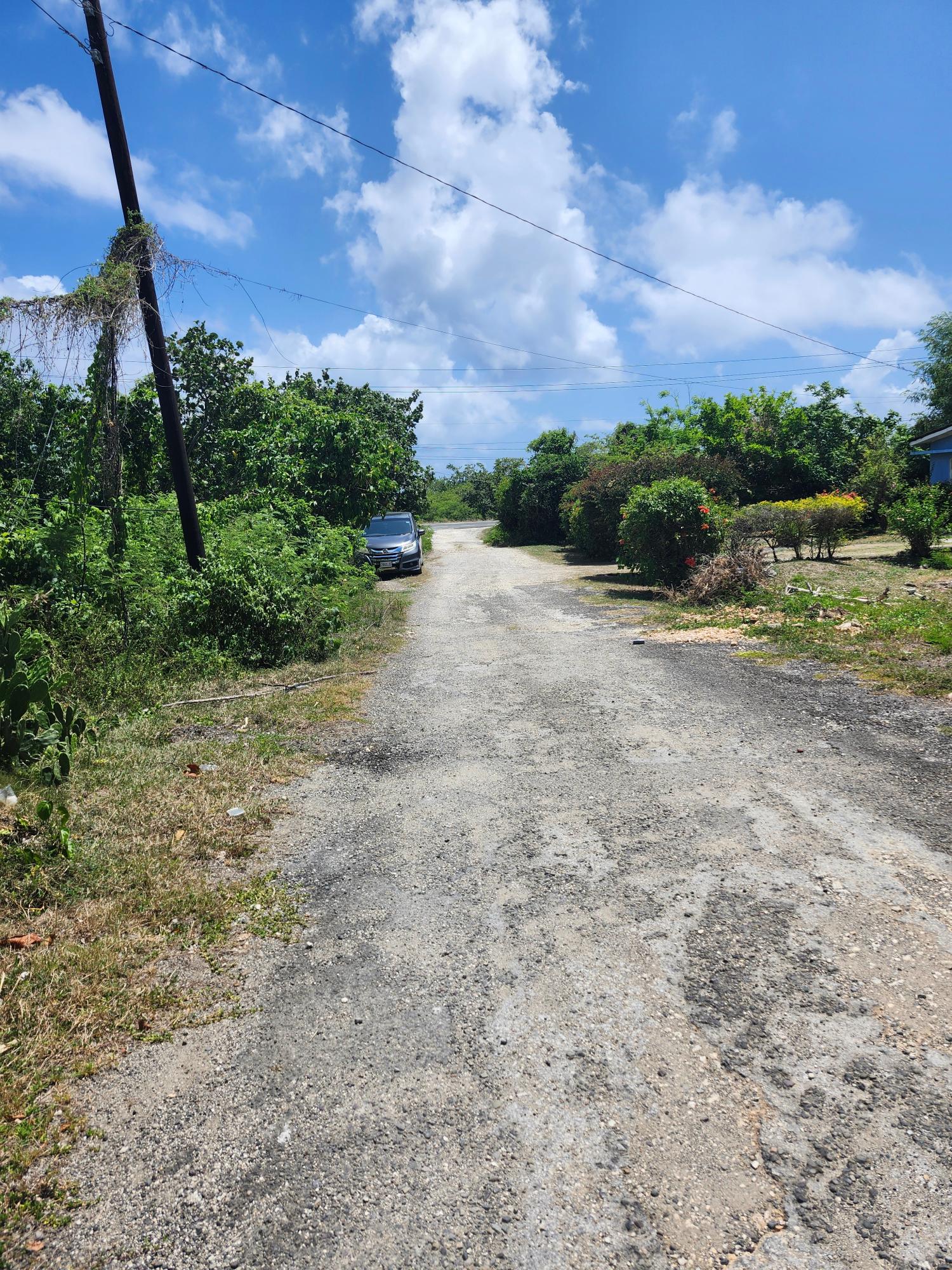 Seventh image of Rockmoor in Rockmore & Wilderness, St. Mary, Jamaica - property is For Sale