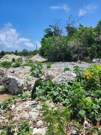 Eighth image of Rockmoor in Rockmore & Wilderness, St. Mary, Jamaica - property is For Sale