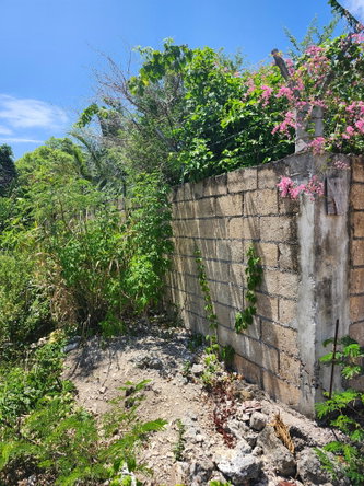 Ninth image of Rockmoor in Rockmore & Wilderness, St. Mary, Jamaica - property is For Sale