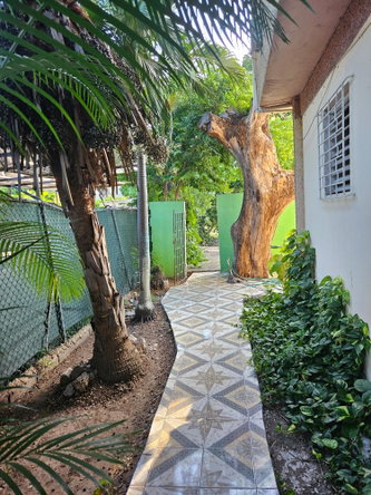 Nineteenth image of 25 Hamilton Drive, Trafalgar in Kingston 10, St. Andrew, Jamaica - property is For Rent