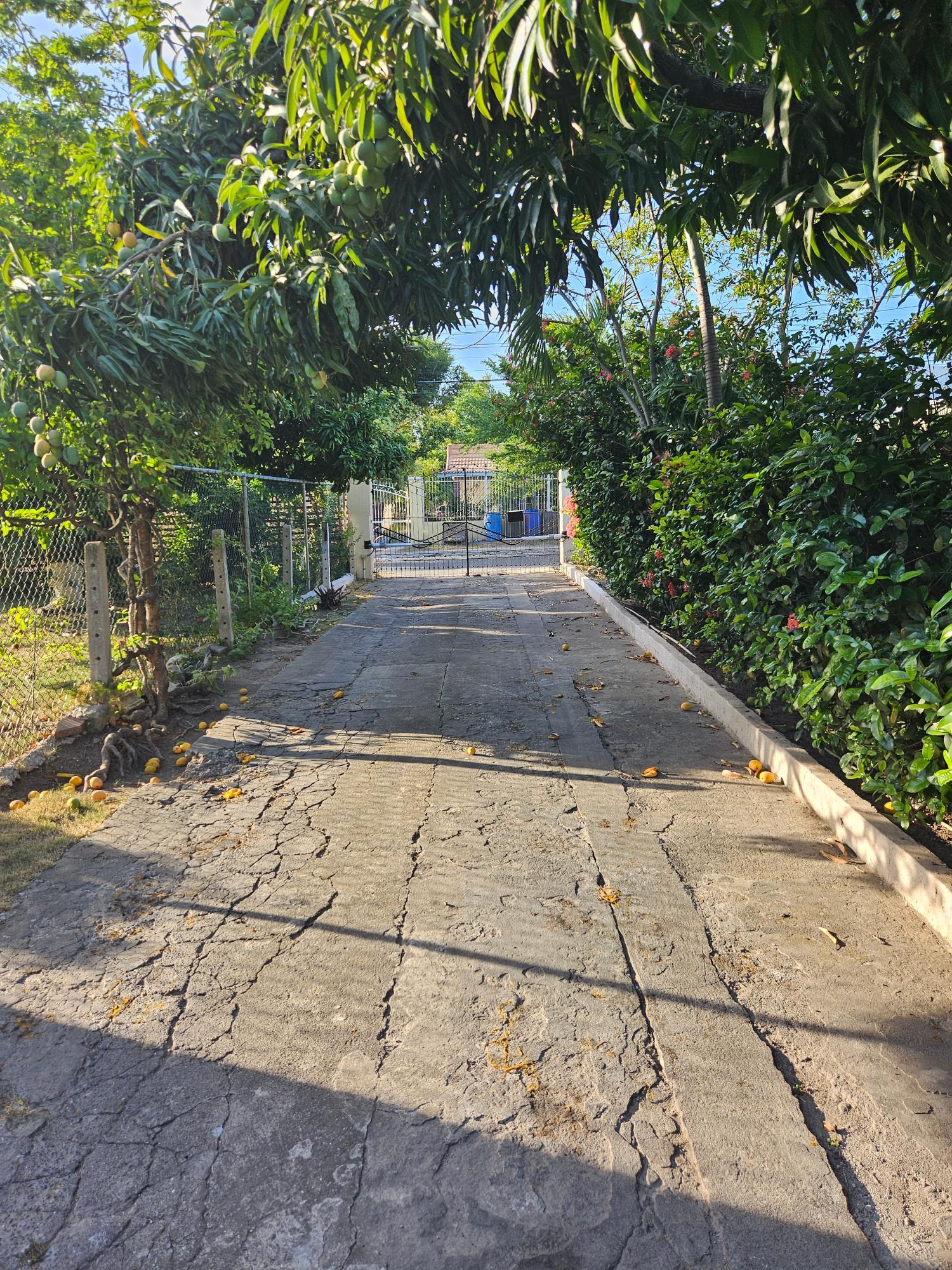 Second image of a Studio-25 Hamilton Drive, Trafalgar in Kingston 10, St. Andrew, Jamaica - property is For Rent