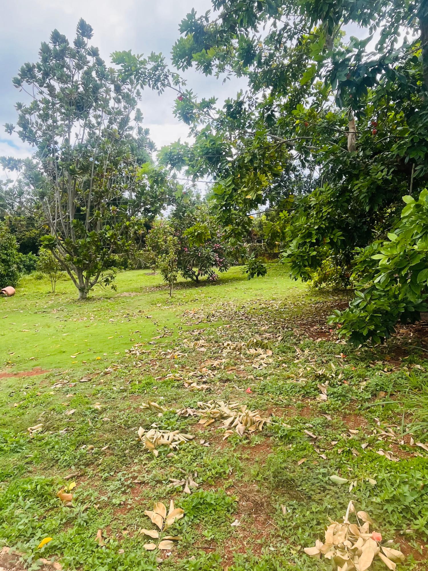 Second image of Marysfield in KITSON TOWN, St. Catherine, Jamaica - property is For Sale