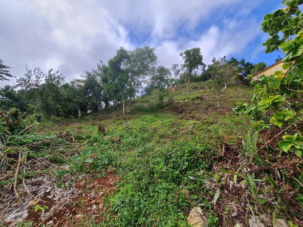 First image of Land Part of Green Hill in Alexandria, St. Ann, Jamaica - property is For Sale