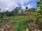 First image of Land Part of Green Hill in Alexandria, St. Ann, Jamaica - property is For Sale