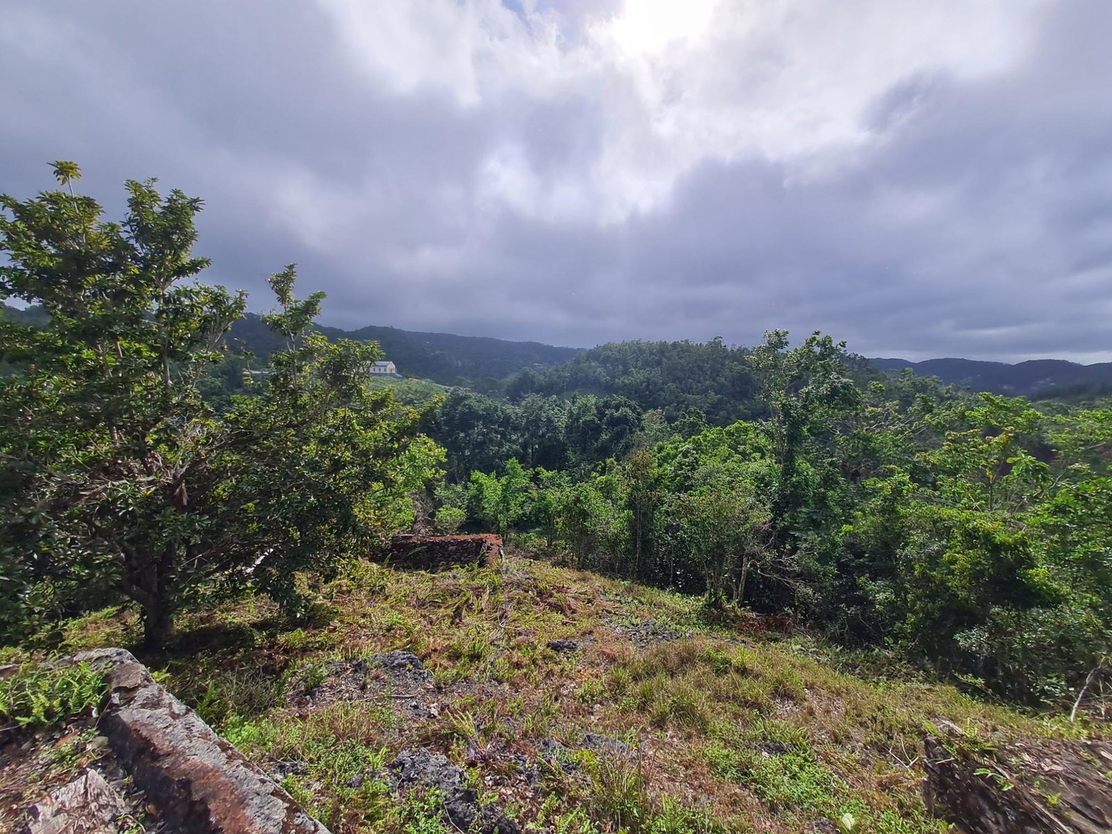Tenth image of Land Part of Green Hill in Alexandria, St. Ann, Jamaica - property is For Sale