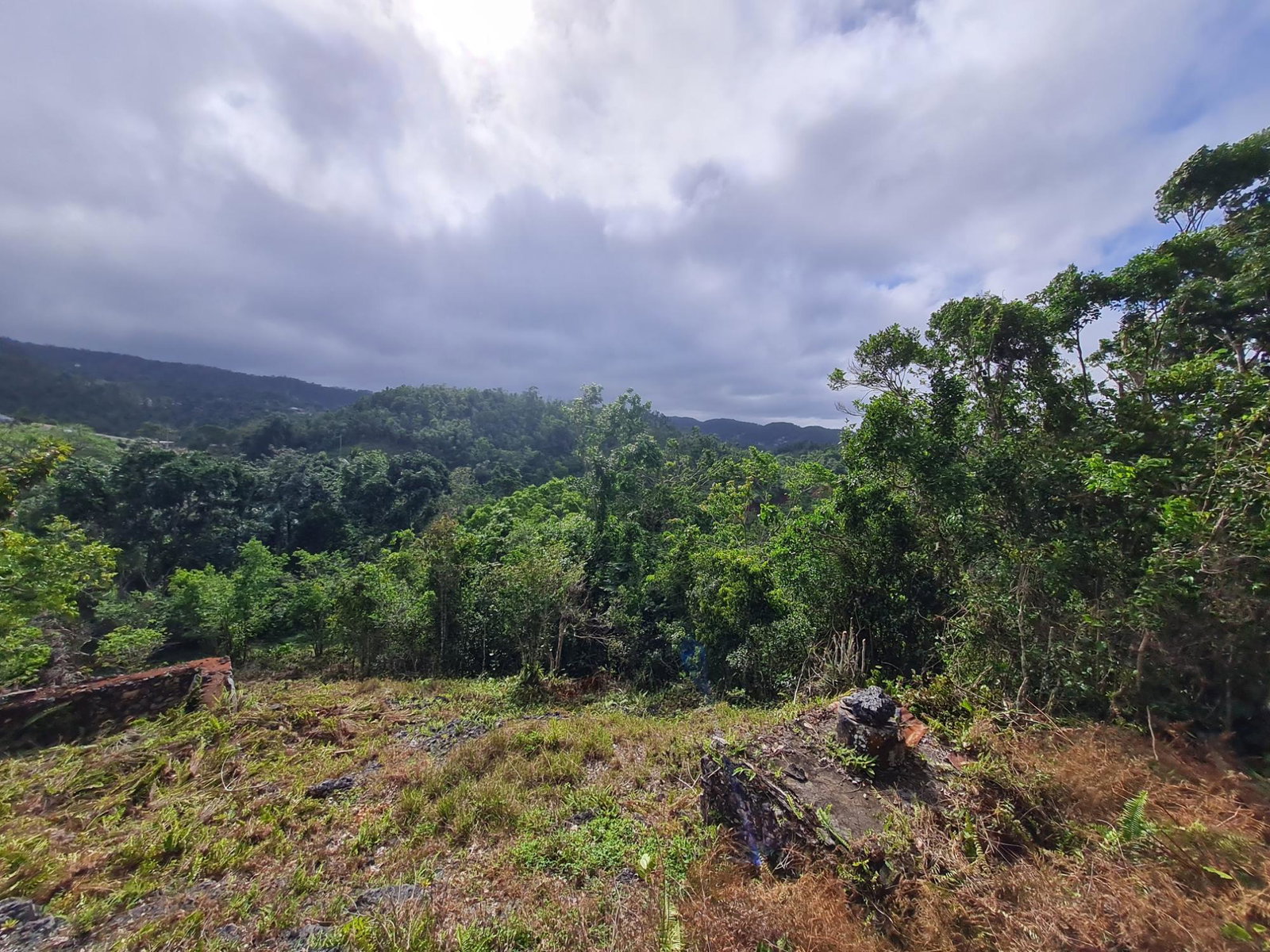 Eleventh image of Land Part of Green Hill in Alexandria, St. Ann, Jamaica - property is For Sale