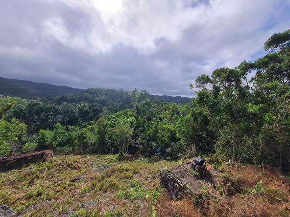 Eleventh image of Land Part of Green Hill in Alexandria, St. Ann, Jamaica - property is For Sale