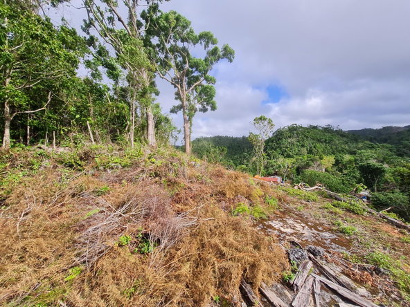 Twelfth image of Land Part of Green Hill in Alexandria, St. Ann, Jamaica - property is For Sale
