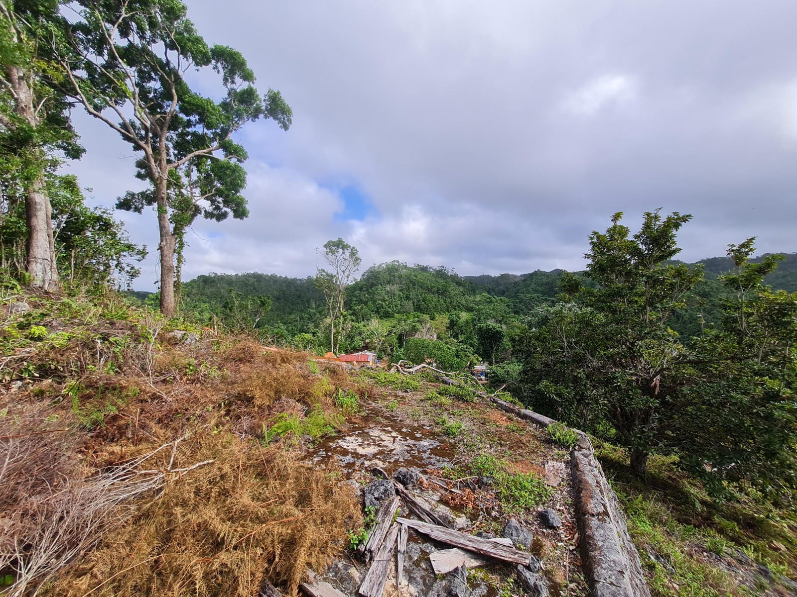 Thirteenth image of Land Part of Green Hill in Alexandria, St. Ann, Jamaica - property is For Sale