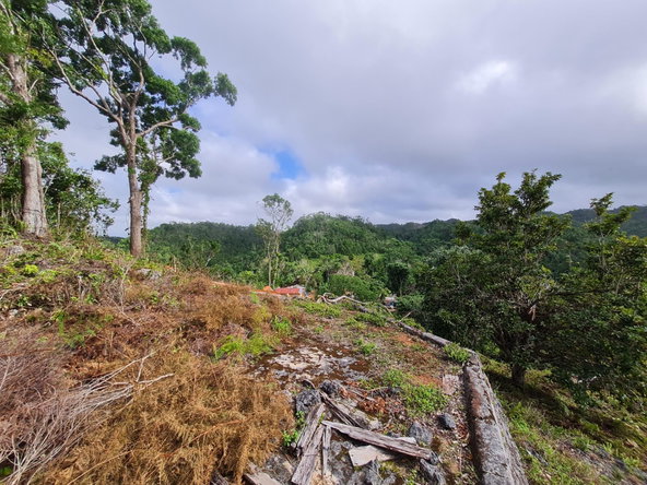 Thirteenth image of Land Part of Green Hill in Alexandria, St. Ann, Jamaica - property is For Sale