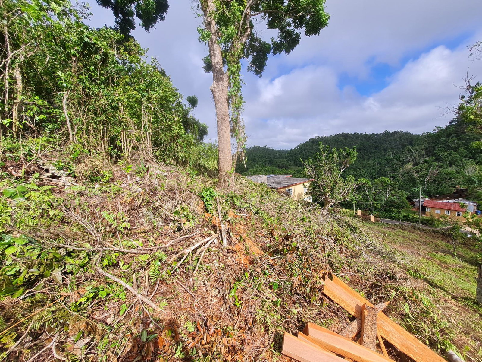 Fourteenth image of Land Part of Green Hill in Alexandria, St. Ann, Jamaica - property is For Sale