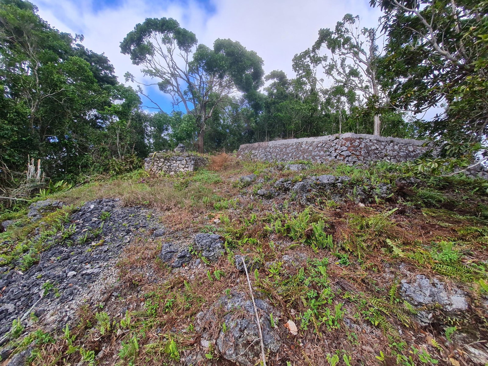 Sixteenth image of Land Part of Green Hill in Alexandria, St. Ann, Jamaica - property is For Sale