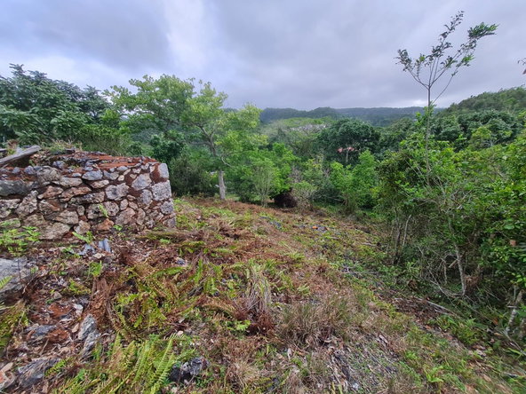 Seventeenth image of Land Part of Green Hill in Alexandria, St. Ann, Jamaica - property is For Sale