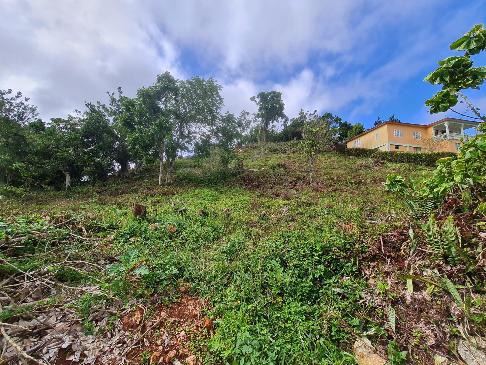 Second image of Land Part of Green Hill in Alexandria, St. Ann, Jamaica - property is For Sale