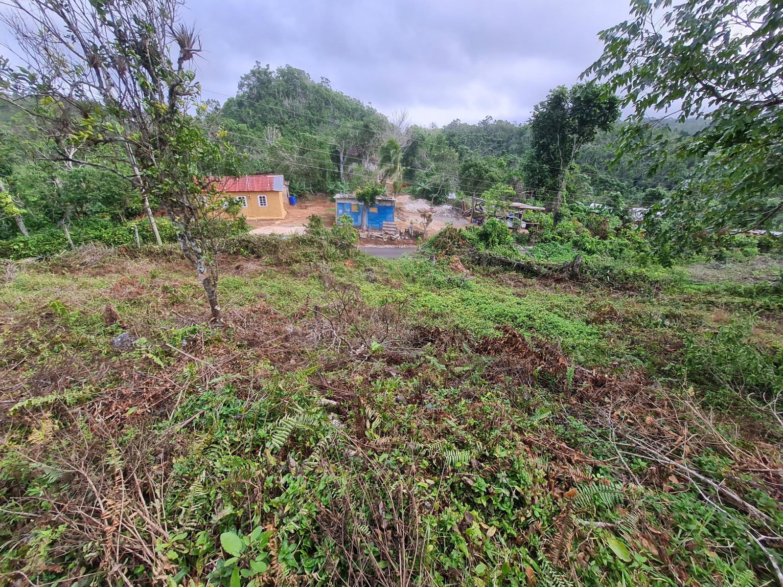 Fourth image of Land Part of Green Hill in Alexandria, St. Ann, Jamaica - property is For Sale