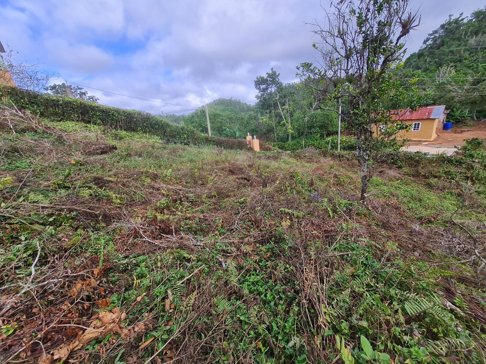 Fifth image of Land Part of Green Hill in Alexandria, St. Ann, Jamaica - property is For Sale