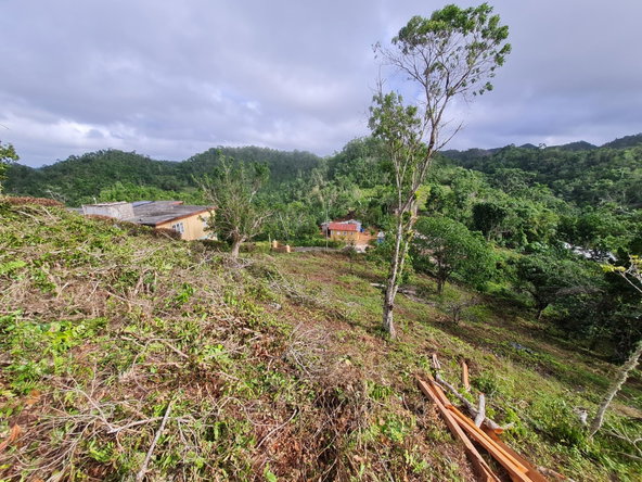 Seventh image of Land Part of Green Hill in Alexandria, St. Ann, Jamaica - property is For Sale